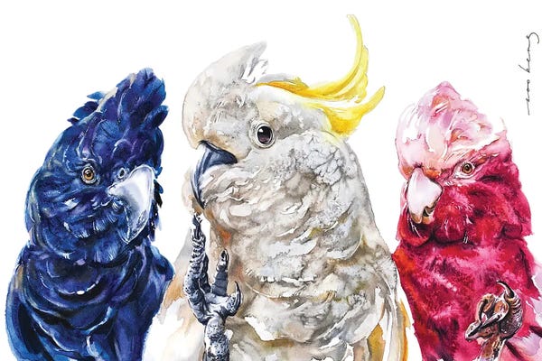 Soo Beng Lim: Cockatoo Trio by Soo Beng Lim