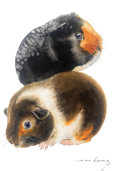 Guinea Pigs: Little Cavies by Soo Beng Lim