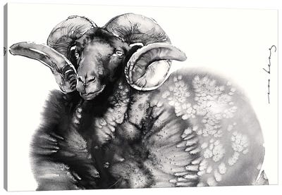 Ram Grandeur Canvas Art Print - Rams