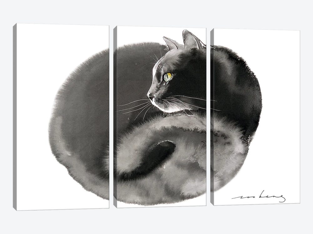 Snug Kitten by Soo Beng Lim 3-piece Canvas Print