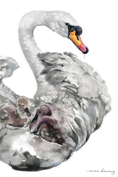 Swans: Sailing Grace by Soo Beng Lim