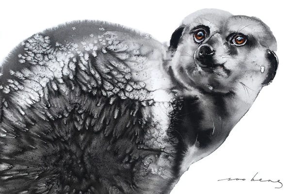 Meerkats: Curious Critter by Soo Beng Lim