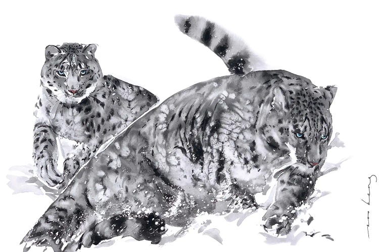 Leopard Agility