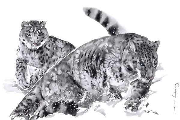 Leopards: Leopard Agility by Soo Beng Lim