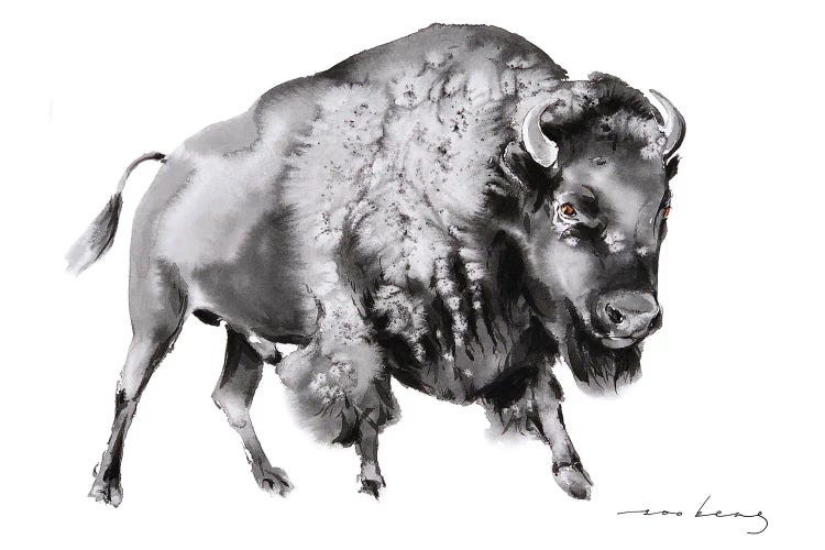 Noble Bison
