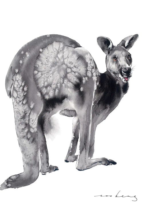 Zen Roo