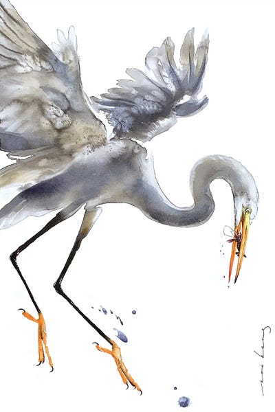 Egrets: Egret by Soo Beng Lim