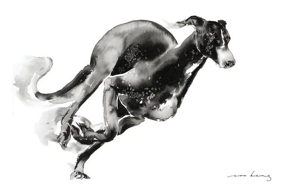 Greyhounds: Sleek Elegance by Soo Beng Lim