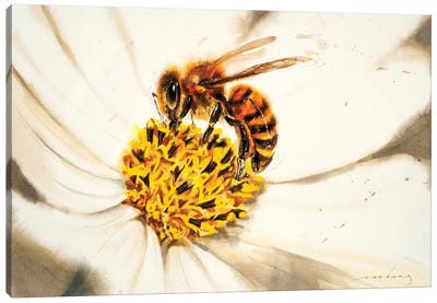 Honey Buzz Canvas Art Print - Bee Art