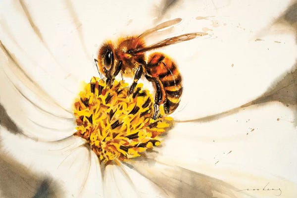 Bees: Honey Buzz by Soo Beng Lim