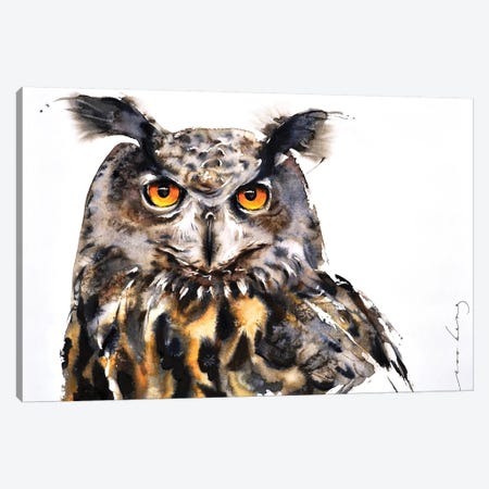 Owl Vision Canvas Print #LIM76} by Soo Beng Lim Art Print