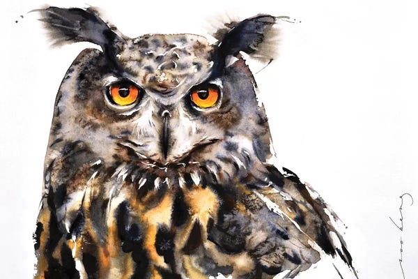 Soo Beng Lim: Owl Vision by Soo Beng Lim
