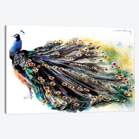 Peacock Splendour I Canvas Print #LIM79} by Soo Beng Lim Canvas Art