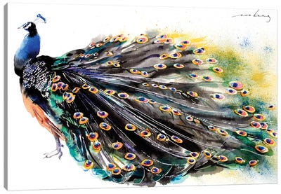Peacock Splendour I Canvas Art Print