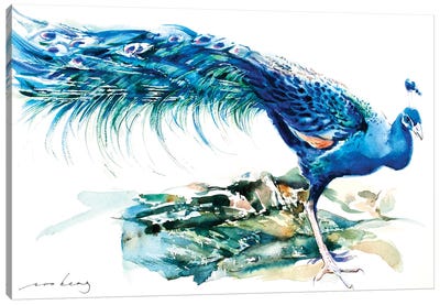 Peacock Splendour II Canvas Art Print - Soo Beng Lim