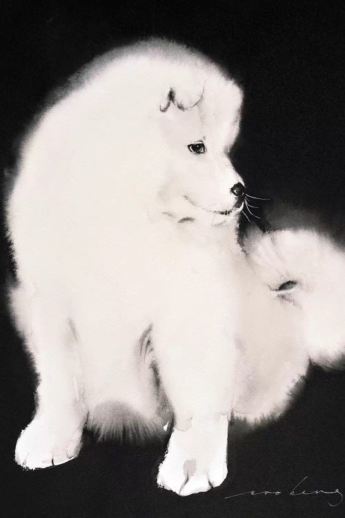 Samoyed Pup