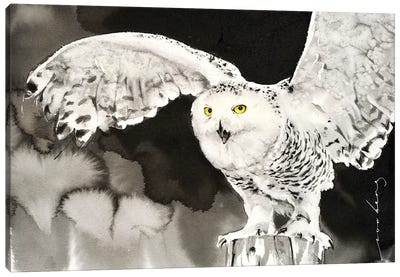 Snowy Owl Canvas Art Print - Soo Beng Lim