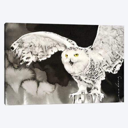 Snowy Owl Canvas Print #LIM90} by Soo Beng Lim Canvas Art