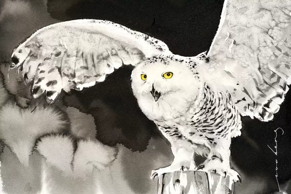 Soo Beng Lim: Snowy Owl by Soo Beng Lim