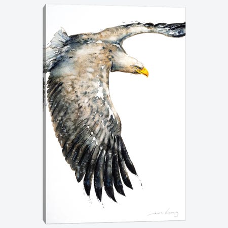 Soar Like Eagle IV Canvas Print #LIM92} by Soo Beng Lim Canvas Wall Art