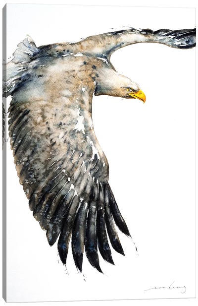 Soar Like Eagle IV Canvas Art Print - Eagle Art