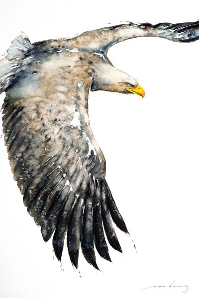 Soo Beng Lim: Soar Like Eagle IV by Soo Beng Lim