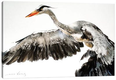Stork in Flight I Canvas Art Print - Stork Art