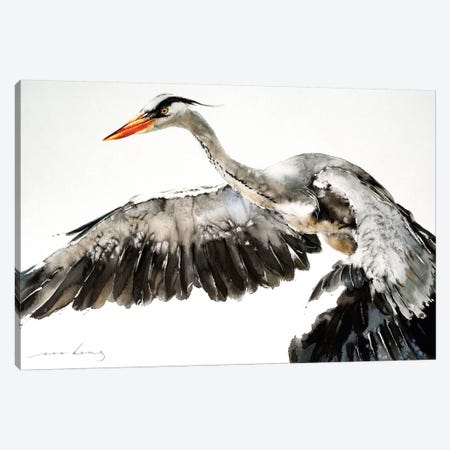 Stork in Flight I Canvas Print #LIM95} by Soo Beng Lim Art Print