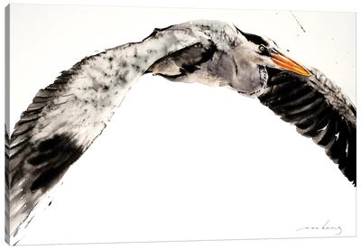 Stork in Flight II Canvas Art Print - Stork Art