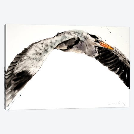 Stork in Flight II Canvas Print #LIM96} by Soo Beng Lim Canvas Print
