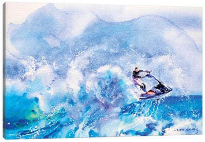 Summer Craze Canvas Art Print - Soo Beng Lim
