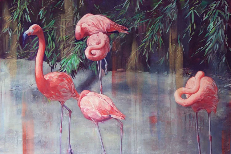 Flamingos