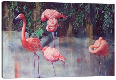 Flamingos Canvas Art Print - Lioba Brückner