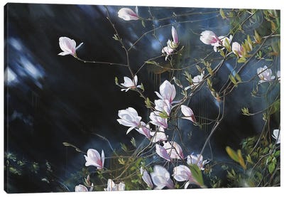 Florescence Canvas Art Print - Lioba Brückner