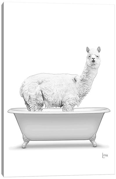 Adult Llama In The Bath Bw Canvas Art Print - Llama & Alpaca Art