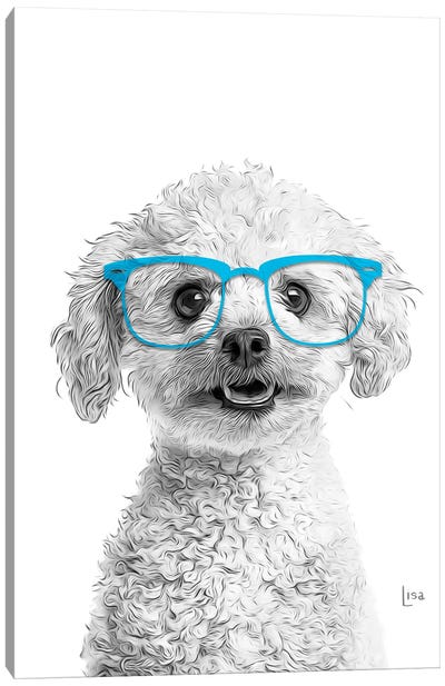Poodle With Blue Glasses Canvas Art Print