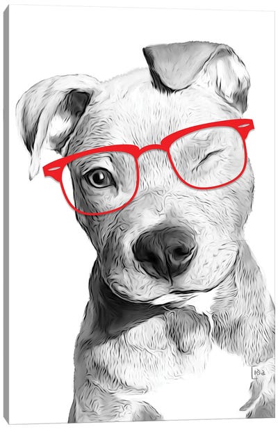 Pitbull With Red Glasses Canvas Art Print - Pit Bull Art
