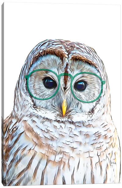 Color Owl With Green Glasses Canvas Art Print - Owl Art