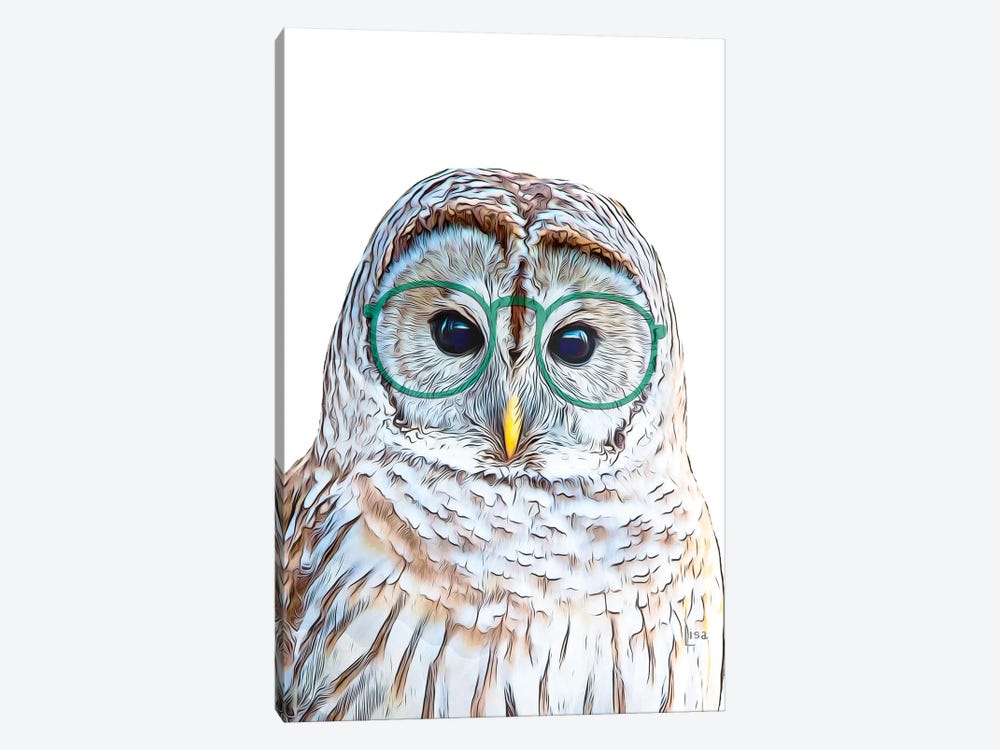 Color Owl With Green Glasses by Printable Lisa's Pets 1-piece Canvas Wall Art