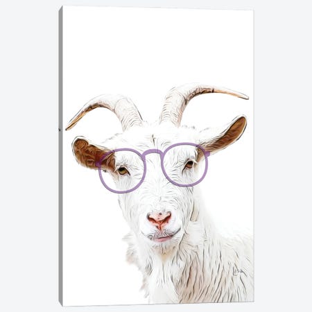 Goat With Purple Glasses Canvas Print #LIP197} by Printable Lisa's Pets Canvas Print