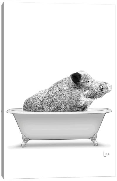 Boar In Bw Bathtub Canvas Art Print - Pig Art