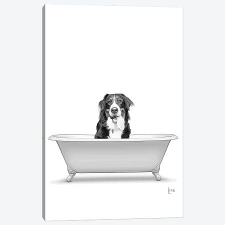 Bernese Mountain Dog In Bathtub Canvas Print #LIP299} by Printable Lisa's Pets Canvas Print