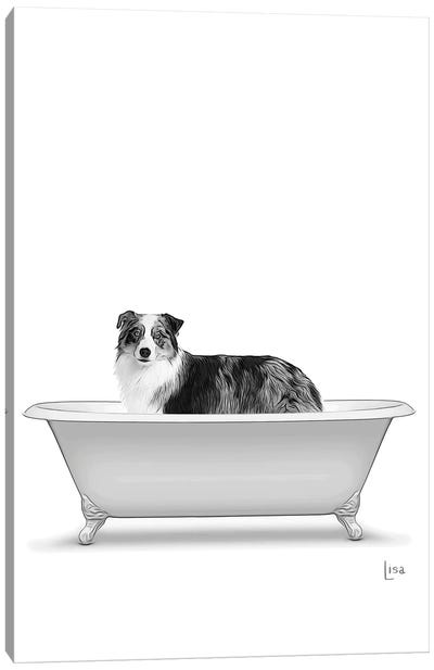 Australian Shepeherd Dog In Bathtub Canvas Art Print - Black & White Animal Art