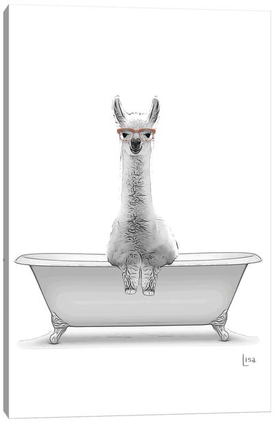 Llama - Alpaca In Bathtub Canvas Art Print - Black & White Animal Art