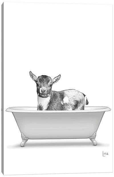 Baby Goat In Bathtub Canvas Art Print - Goat Art
