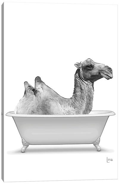 Camel In Bathtub Canvas Art Print - Camel Art