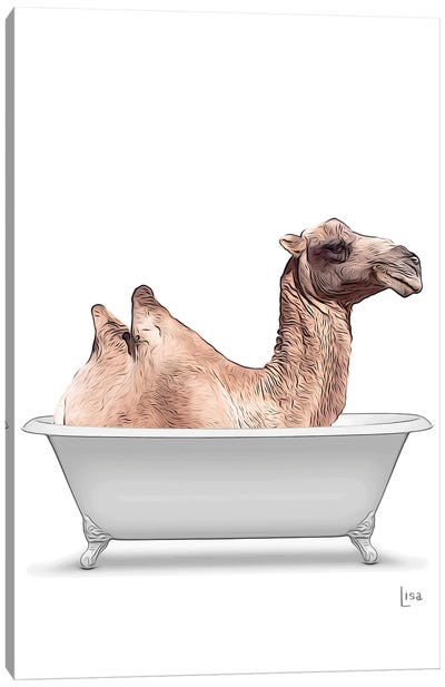 Colored Camel In Bathtub Canvas Art Print - Camel Art