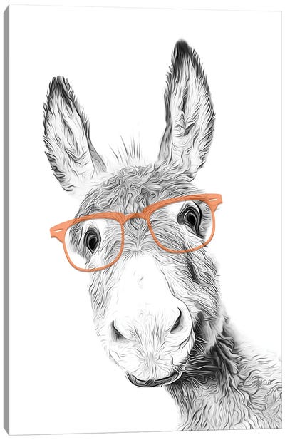 Donkey With Orange Glasses Canvas Art Print - Donkey Art