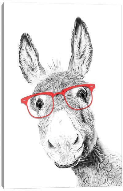 Donkey With Red Glasses Canvas Art Print - Donkey Art
