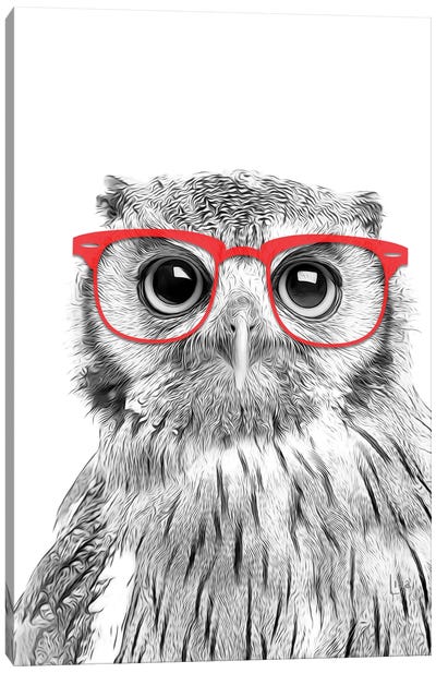 Owl With Red Glasses Canvas Art Print - Animal Humor Art